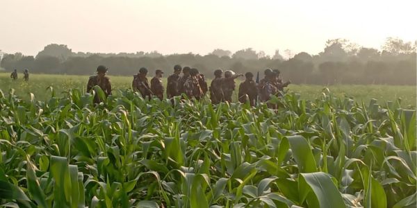 চাঁপাইনবাবগঞ্জ সীমান্ত স্বাভাবিক, কৃষি কাজে ব্যস্ত কৃষকেরা